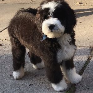 Meet your Posher, Ann